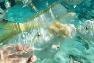 Saona Island: Hidden Beach & Natural Pool
