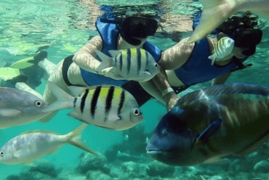 Saona Island: Hidden Beach & Natural Pool
