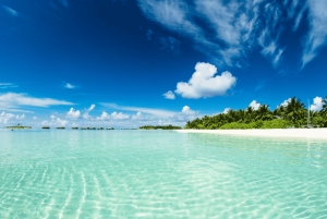 Saona Island: Hidden Beach & Natural Pool
