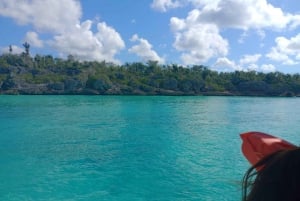 Isla Saona: Excursión con catamarán y lancha rápida