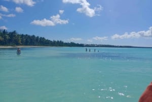 Saona Island: Highlights Tour with Catamaran and Speedboat