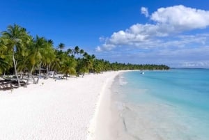 Saona Island: Incredible day With buffet from Punta Cana