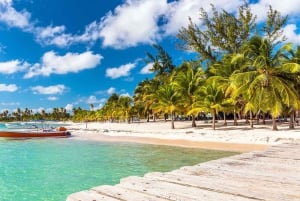 Saona Island Premium- Exklusiv strand och Mano Juan Heldag