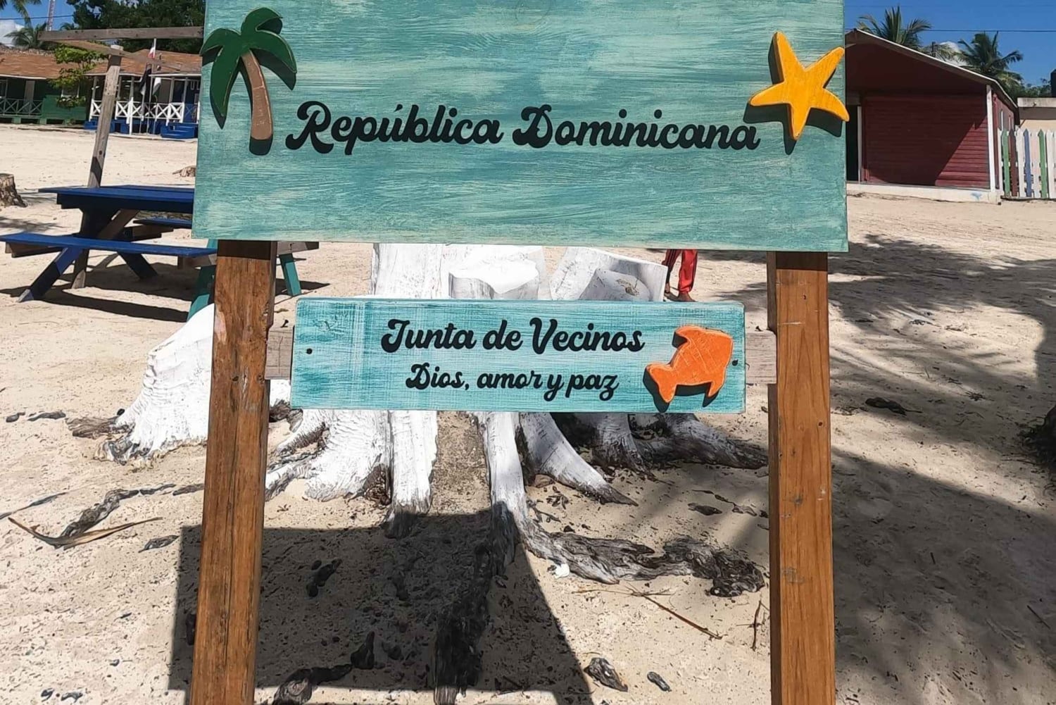 Clube de praia privado na Ilha Saona com almoço