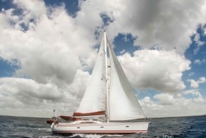 Saona-øya: privat yacht-tur med lunsj og henting