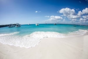 Saona-øya: privat yacht-tur med lunsj og henting