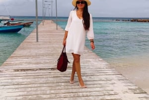 Saona-øya: privat yacht-tur med lunsj og henting