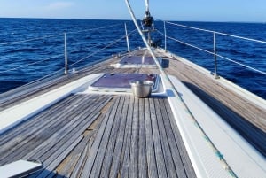 Saona-øya: privat yacht-tur med lunsj og henting