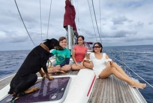 Saona-øya: privat yacht-tur med lunsj og henting