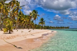 Isla Saona: Punta Cana Tutto Incluso