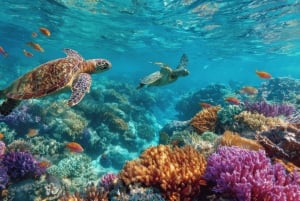 Isla Saona: Punta Cana Tutto Incluso