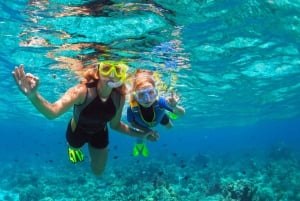 Isla Saona: Punta Cana Tutto Incluso