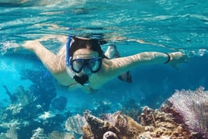 Isla Saona: Punta Cana Tutto Incluso