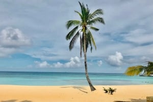 Isla Saona: Punta Cana Tutto Incluso