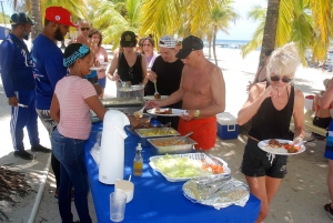 Isla Saona: Excursión de un día en crucero por las playas vírgenes en grupo reducido
