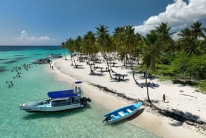 Saona Island: Small Group Virgin Beaches Cruise Day Trip