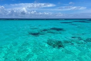 Saona Island: Small Group Virgin Beaches Cruise Day Trip