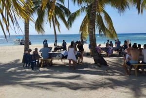 Saona Island: Small Group Virgin Beaches Cruise Day Trip