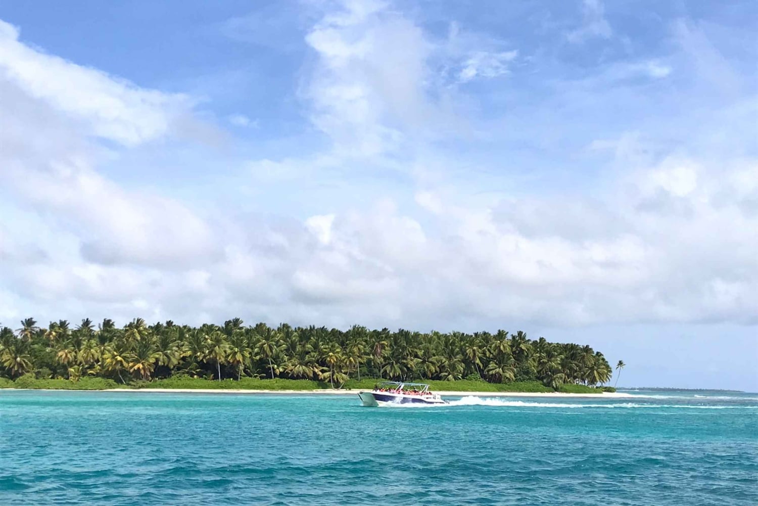 Tour dell'isola di Saona tutto compreso in motoscafo e catamarano