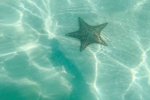 Tour dell'isola di Saona tutto compreso in motoscafo e catamarano