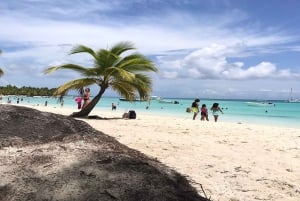 Tour dell'isola di Saona tutto compreso in motoscafo e catamarano