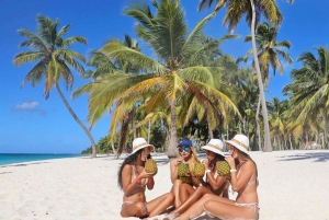 Tour dell'isola di Saona tutto compreso in motoscafo e catamarano