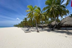 Visite de l'île de Saona : Catamaran et bateau rapide - Tout compris