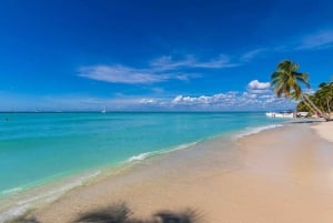 Saona Island Tour lounaalla ja avoimella baarilla