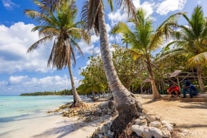 Saona Island Tour lounaalla ja avoimella baarilla