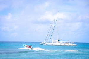 Saona Island-tur med frokost og afhentning