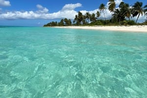 Saona Island VIP: 4 Beaches , Mano Juan & Canto de la Playa