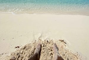 Saona Island VIP: 4 Beaches , Mano Juan & Canto de la Playa