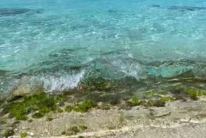 Saona Island VIP: 4 Beaches , Mano Juan & Canto de la Playa