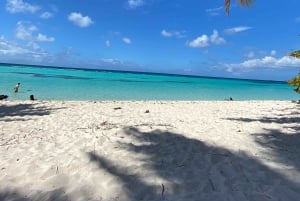 Saona Island VIP: 4 Beaches , Mano Juan & Canto de la Playa