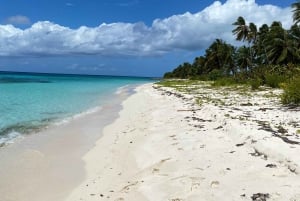 Saona Island VIP: 4 Beaches , Mano Juan & Canto de la Playa