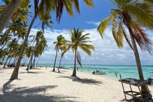 Saona Island VIP: 4 Beaches , Mano Juan & Canto de la Playa