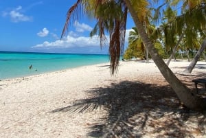 Saona Island VIP: 4 Beaches , Mano Juan & Canto de la Playa