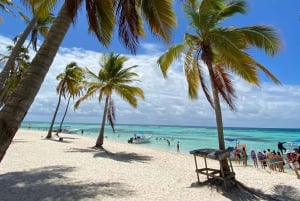 Saona Island VIP: 4 Beaches , Mano Juan & Canto de la Playa