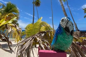 Saona Island VIP: 4 Beaches , Mano Juan & Canto de la Playa