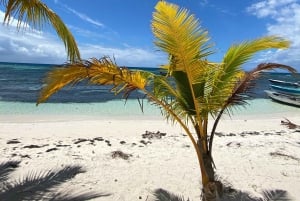 Saona Island VIP: 4 Beaches , Mano Juan & Canto de la Playa