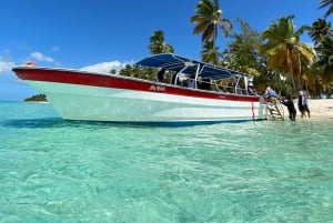 Saona Island VIP: 4 Beaches , Mano Juan & Canto de la Playa