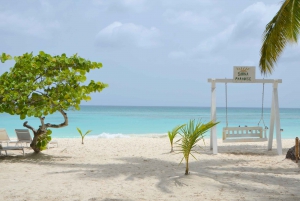 Saona Island Vip & Canto de la Playa : depuis Bayahibe