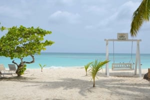 Saona Island Vip & Canto de la Playa: from Punta Cana