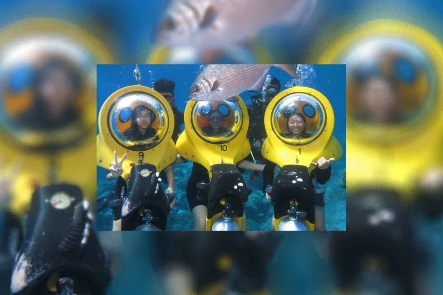 Scoba Doo Discover the Underwater Wonders of Punta Cana