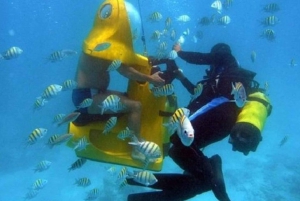 Scoba Doo Discover the Underwater Wonders of Punta Cana