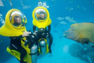 Scoba Doo Discover the Underwater Wonders of Punta Cana