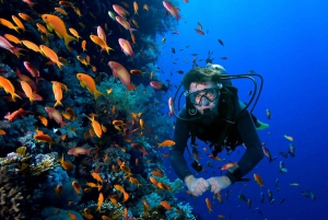 Scuba Dive in Sosua Cabarete