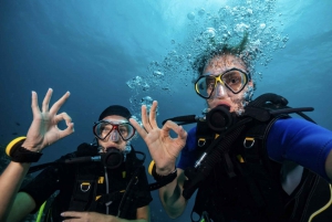 Scuba Dive in Sosua Cabarete