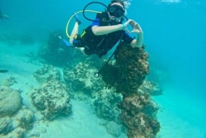 Bávaro: Scuba Diving Experience for Beginners