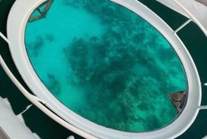 Scuba Doo: Discover Punta Cana's Marine Life In a Fun Way